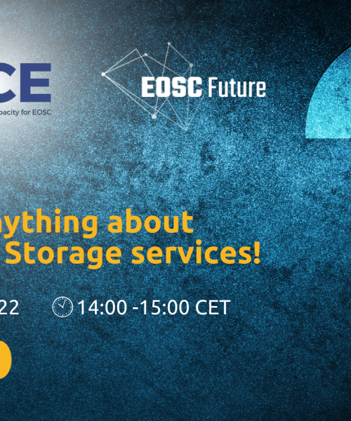 Ask Me Anything about DICE Data Storage services!