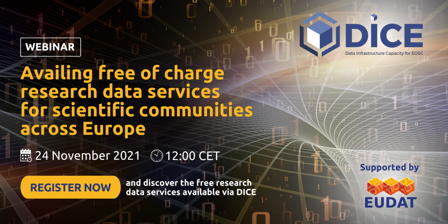 DICE VM Webinar 24 NOV 2021